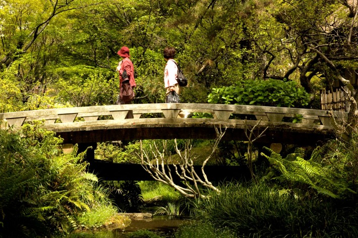 Brücke im Sankeien Garden