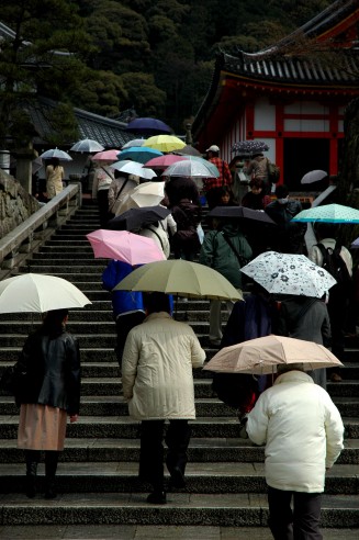 Typisch in Japan - Schirme